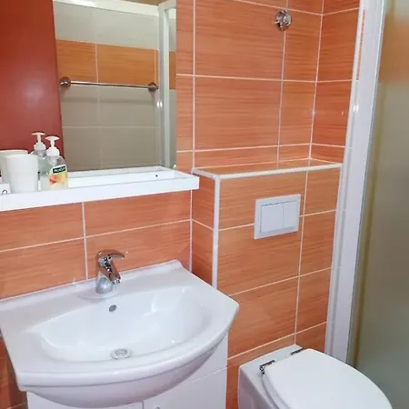 Apartment And Room Guscic Apartman *